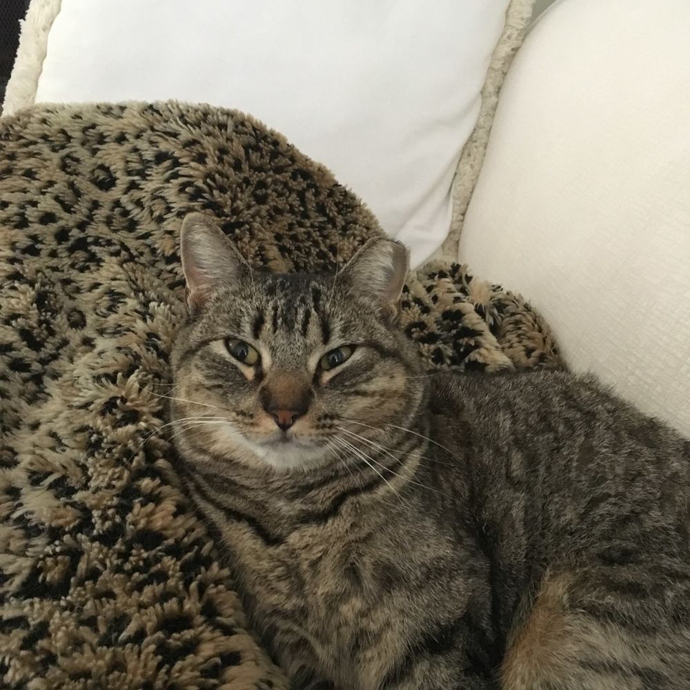 Meet your Posher, Jason